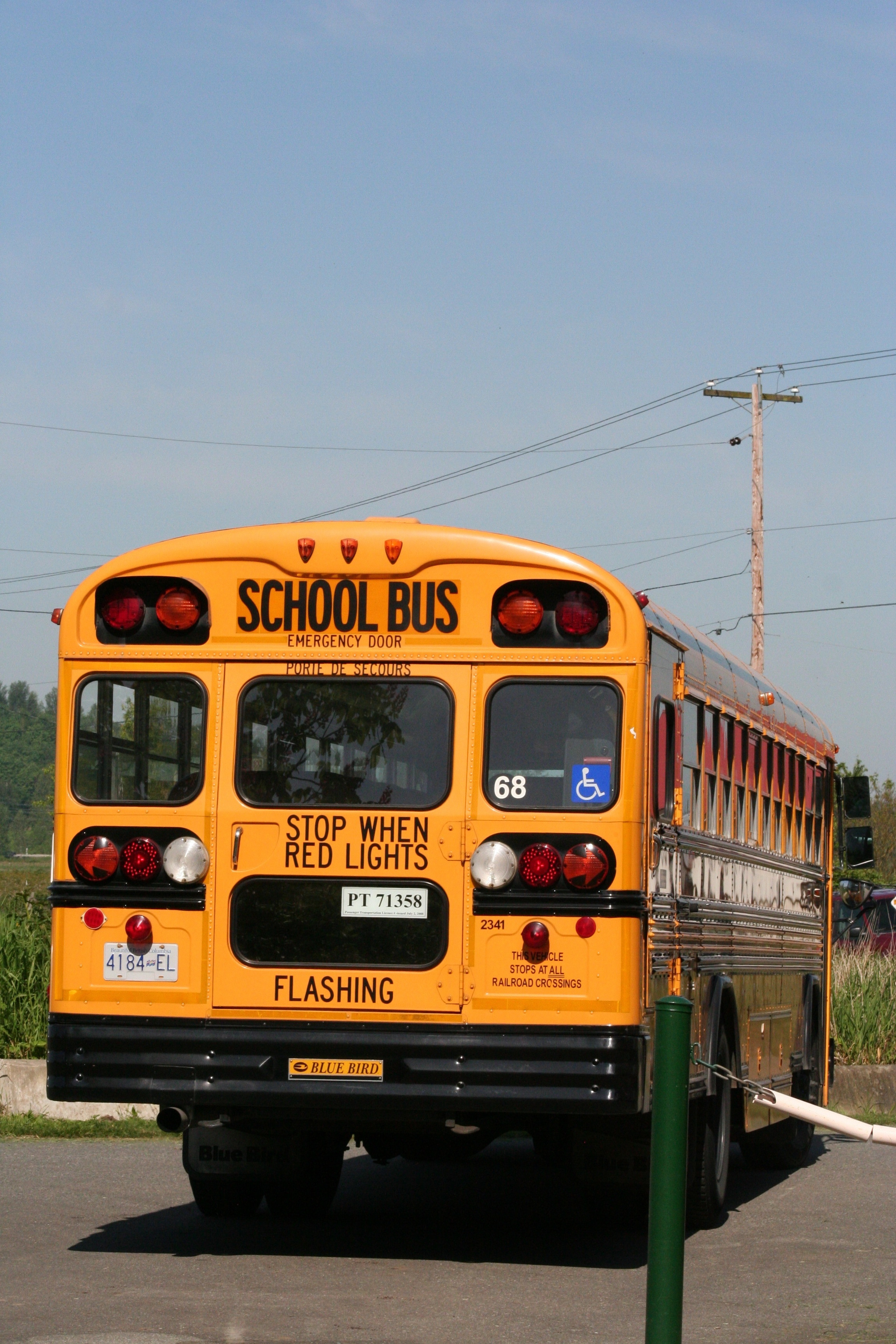 School bus 2. Школьный автобус. Американский школьный автобус. Bus Flash. Bus back.